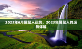 2023年6月属鼠人运势，2023年属鼠人的运势详解