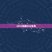 2033年属什么年份(介绍2033年是哪个生肖)
