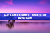 2023金牛座全年运势新浪，金牛座2023年到2023年运势
