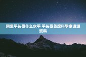 阿里平头哥什么水平 平头哥首席科学家谢源资料
