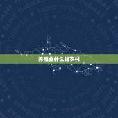 养殖业什么钱农村(介绍农村养殖业中潜力的产业)