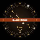 龙人2023兔年运势(好运连连财源滚滚)