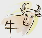 属牛女今日财神方位吉时速查：3招找准财位催旺财运