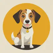 属狗的今年七十几了 那年的人：属狗虚岁实岁区别