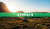 王中磊天涯扒皮