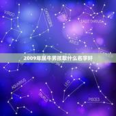 2009年属牛男孩取什么名字好(如何选择适合的名字)
