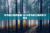 华为跟三星的差距 2019华为和三星的实力对比