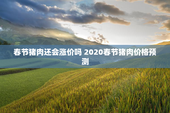 春节猪肉还会涨价吗 2020春节猪肉价格预测