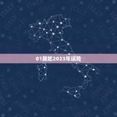 01属蛇2023年运势(事业顺遂财运亨通)