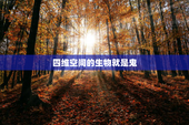 四维空间的生物就是鬼