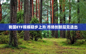 我国ETF规模稳步上升 市场创新层见迭出