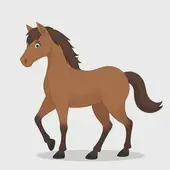 属马的出生年份表属马今年多大了：属马一生最克3个人