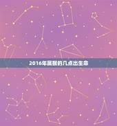 2016年属猴的几点出生命(如何抓住幸运机会)