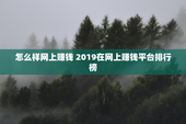 怎么样网上赚钱 2019在网上赚钱平台排行榜