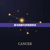 属马和属牛婚姻合不合(星座配对分析)