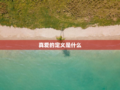 真爱的定义是什么