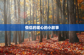 情侣的暖心的小故事