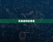 双鱼座和什么星座最配(星座组合介绍)