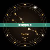 龙的跟什么属相婚姻配(如何选择配偶)