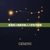 属兔的人和属羊的人八字合不合理(详解属相配对的八字命理)