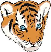 属虎和属蛇的合不合婚姻(如何选择最佳婚姻对象)