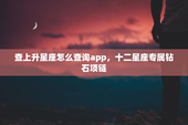 查上升星座怎么查询app，十二星座专属钻石项链