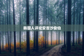 韩国人评论安吉沙俊伯