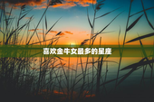 喜欢金牛女最多的星座