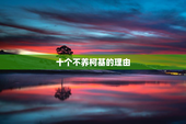 十个不养柯基的理由