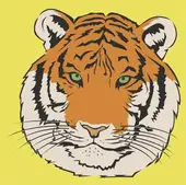 2025属虎女的今日运势怎样：2月9日运势全解指南