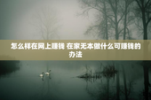 怎么样在网上赚钱 在家无本做什么可赚钱的办法