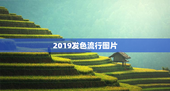 2019发色流行图片