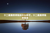 十二星座的项链长什么样子，十二星座项链的寓意