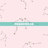 什么星座会暗恋双子座(神秘星座的暗恋之路)