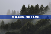 1992年属猴5月是什么命运，1992年属猴5月是什么命运呢