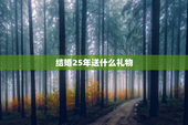结婚25年送什么礼物