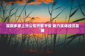 深圳多家上市公司齐聚平安 助力实体经济发展