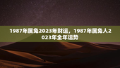 1987年属兔2023年财运，1987年属兔人2023年全年运势