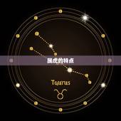 属虎属兔的婚姻相配吗(介绍兔虎姻缘如何)