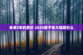 未来5年的房价 2020房子会大幅降价么