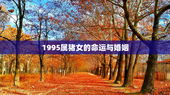 1995属猪女的命运与婚姻，姻缘配对 生辰八字