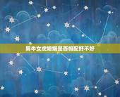 男牛女虎婚姻是否相配好不好(讨论十二生肖配对的奥秘)