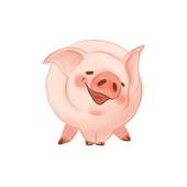 属猪女今天的运势如何呢(星象预测)