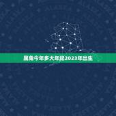 属兔今年多大年纪2023年出生(兔年出生人的年龄计算方法)
