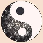 八字合婚基础知识有哪些(探究八字合婚的必备知识)