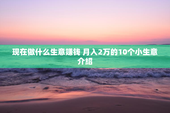 现在做什么生意赚钱 月入2万的10个小生意介绍