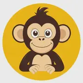 2004年属猴的五行是什么