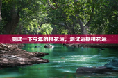测试一下今年的桃花运，测试近期桃花运