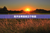 双子女考验你三个阶段