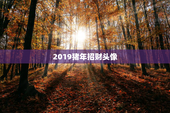 2019猪年招财头像